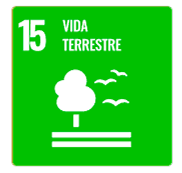 ODS 15: Vida Terrestre